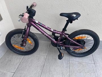 Scott modello Contessa 16