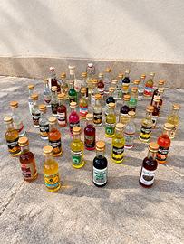 Collezione 45 mignon di liquori e distillati