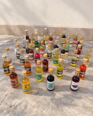 Collezione 45 mignon di liquori e distillati