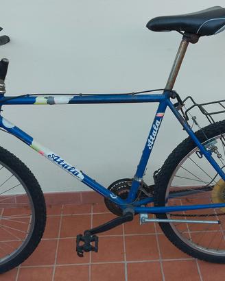 bicicletta uomo