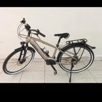 bici elettrica lombardo