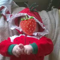 Tutina fragola ciniglia