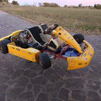 KART PCR 100