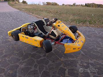 KART PCR 100