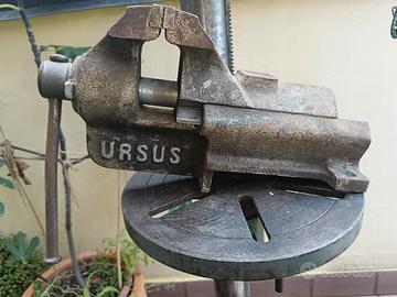 Morsa URSUS