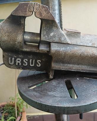 Morsa URSUS