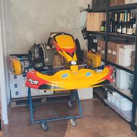Go Kart PCR/ TM 100