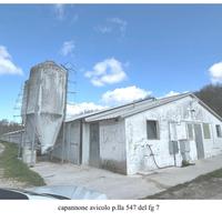 Capannoni e terreni