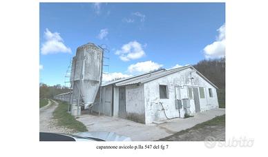 Capannoni e terreni