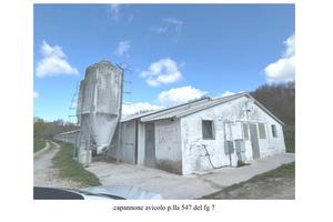 Capannoni e terreni