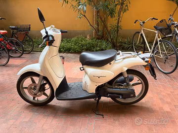 Scarabeo 2t