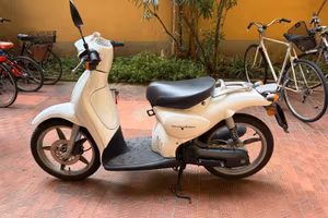 Scarabeo 2t