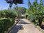 Immagine 17