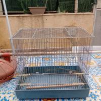 gabbia per uccelli 