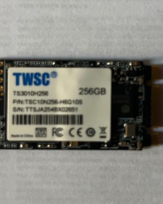SSD M2 2242 SATA  256 Gb TWSC