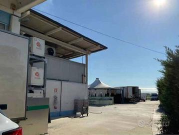 Immobile in asta di 438 m² a Castel d'Ario