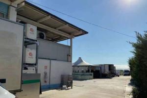 Immobile in asta di 438 m² a Castel d'Ario