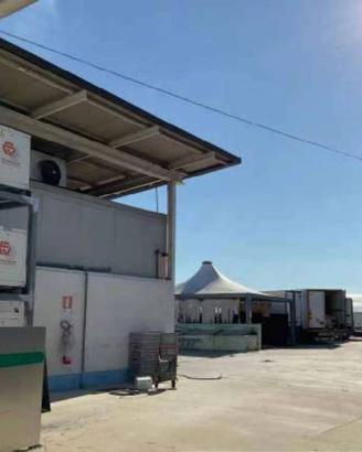 Immobile in asta di 438 m² a Castel d'Ario