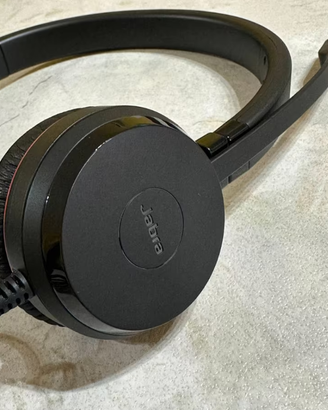 Jabra Evolve 20