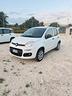 fiat-panda-van-2-posti-benzina