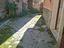 Immagine 10