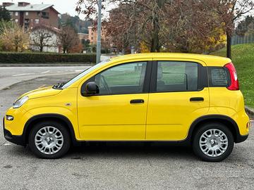 FIAT PANDA 1.0 HYBRID PANDINA