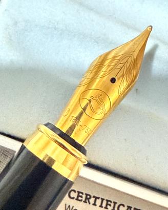Penna stilografica ( si accettano proposte )