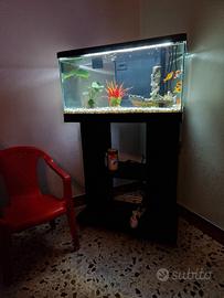 acquario +mobiletto 