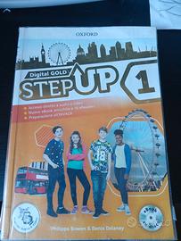 Step Up 1