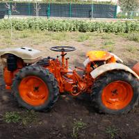 Trattorino Pasquali 18CV