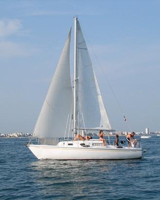 Alpa 8 + posto barca