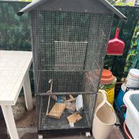 voliera per pappagalli/uccelli