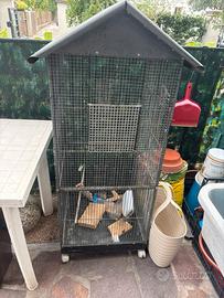 voliera per pappagalli/uccelli