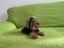 Immagine 2