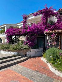Sardegna baja sardinia -poltu quatu -porto cervo