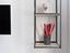 Immagine 13
