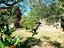 Immagine 22