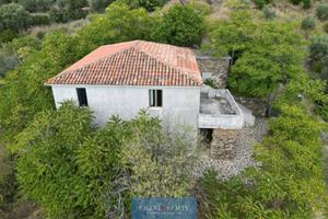 Castellabate (A 2km) Appartamento con terreno