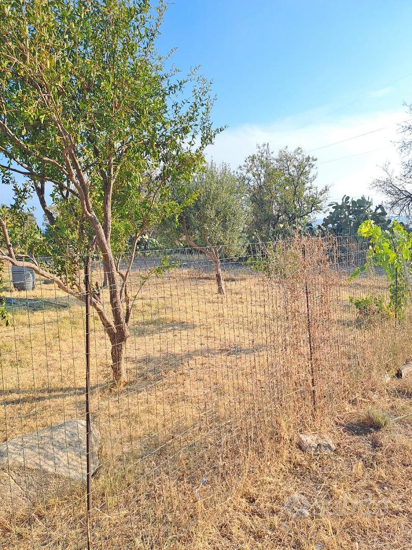 Lotto di terreno non edificabile - Vista 5