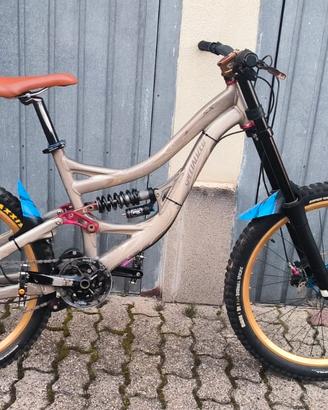 specialized