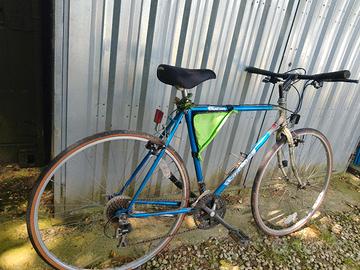 bicicletta city bike