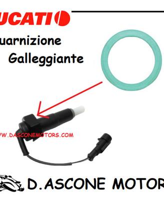 Guarnizione Galleggiante Ducati Monster Originale
