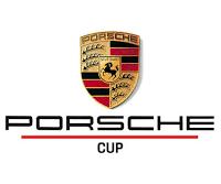 Pezzi Porsche GT3 Cup