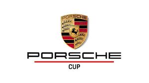Pezzi Porsche GT3 Cup