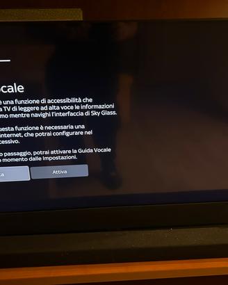 Sky glass televisore 43 pollici