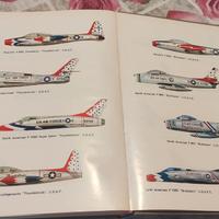 Meravigliosa Avventura storia del volo acrobatico