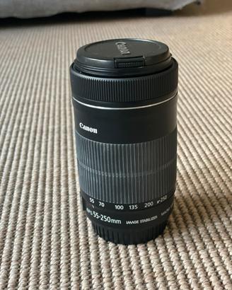 Canon EF-S 55-250mm f/4-5.6 IS STM stabilizzato