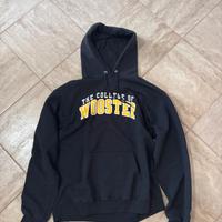 Felpa College Americano - Wooster - Champion