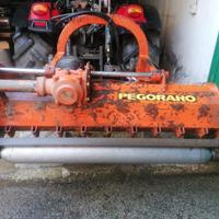 Martellante marca Pegoraro