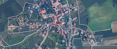Coriano annuale con giardino privato